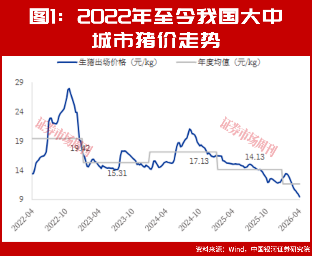 猪价10天反弹超16%!底部信号已现,新猪周期要启动?