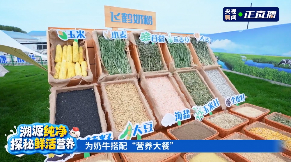 央视溯源直播实地见证,飞鹤筑牢乳业最高等级安全与新鲜