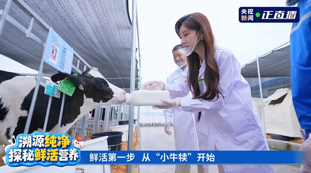 央视溯源直播实地见证,飞鹤筑牢乳业最高等级安全与新鲜